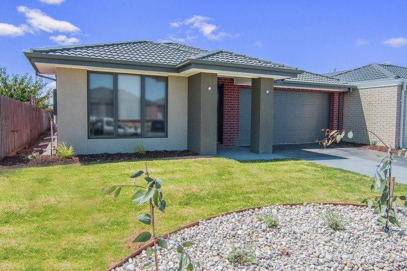 23 Macfarlane Street