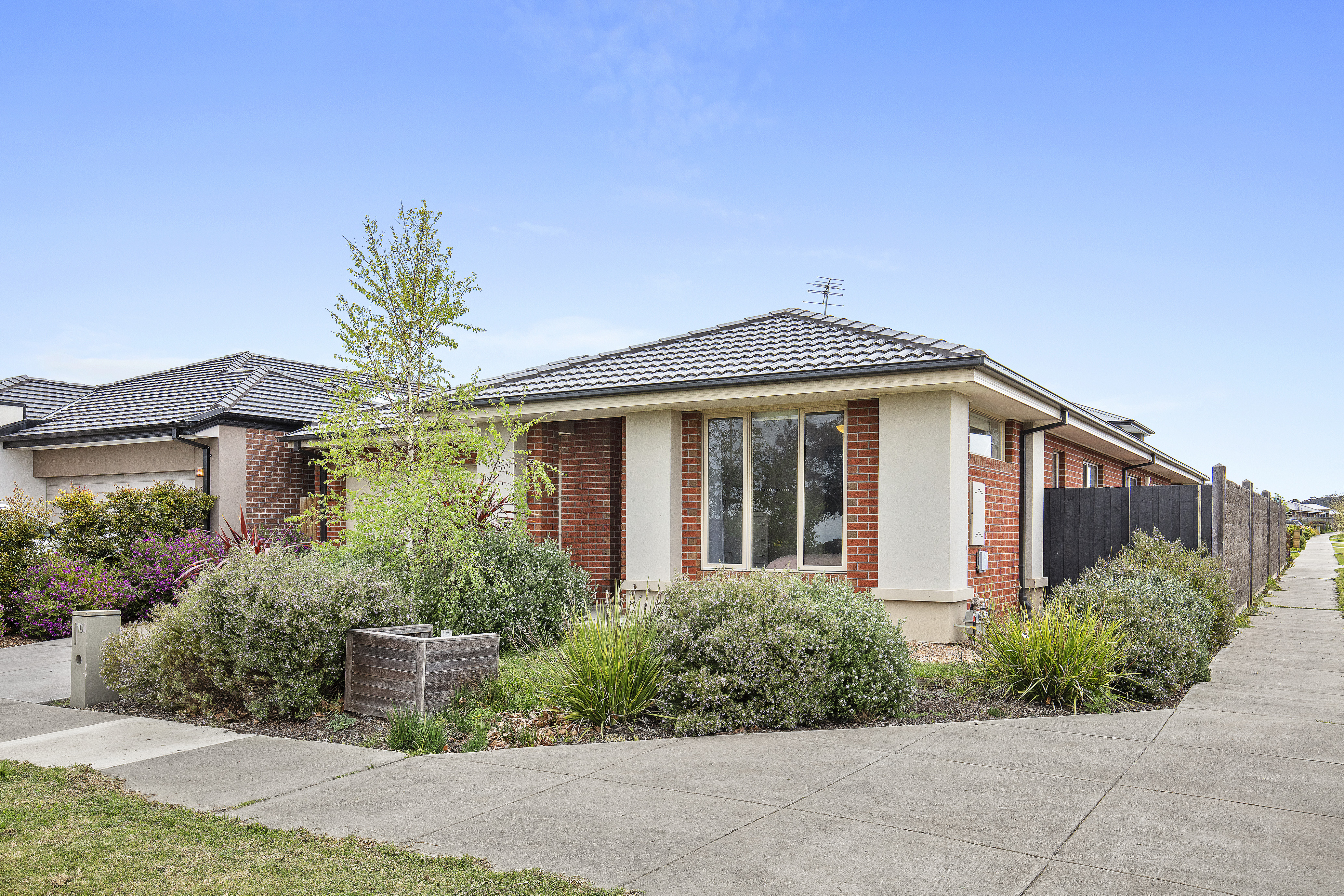 Listing image for 103 Iris Loop, ARMSTRONG CREEK  VIC  3217